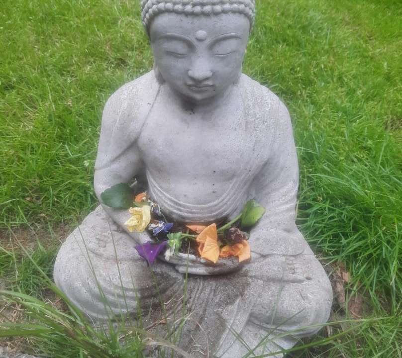 Photo of Others in Saanich