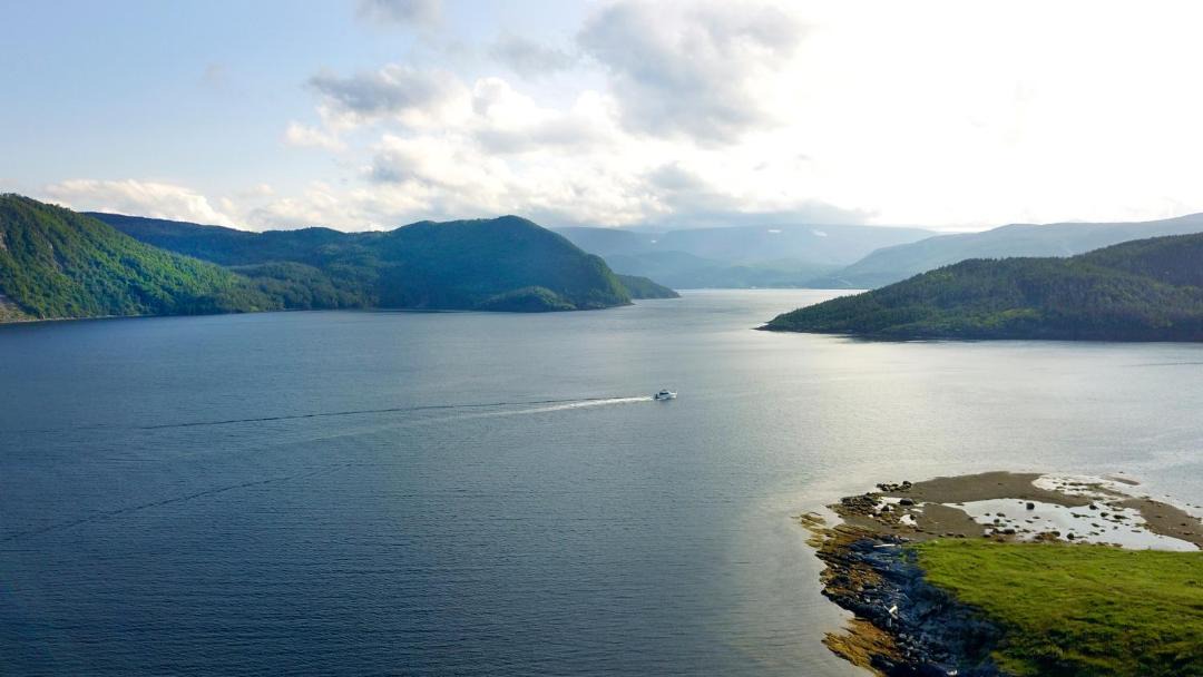 Photo of Others in Norris Point