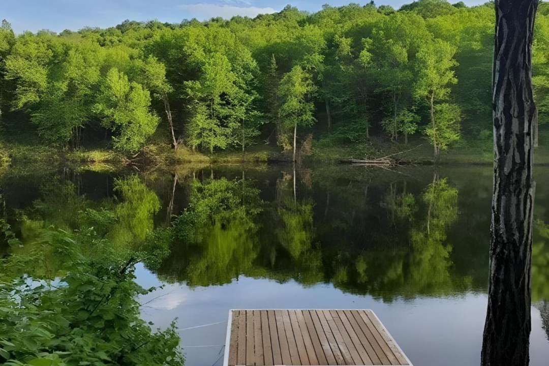 Photo of Others in Mauricie