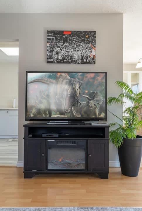 Photo of Livingroom in Drumheller