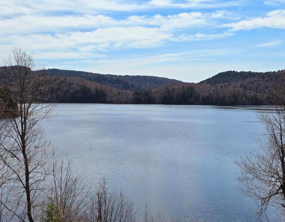 Photo of Others in Mauricie