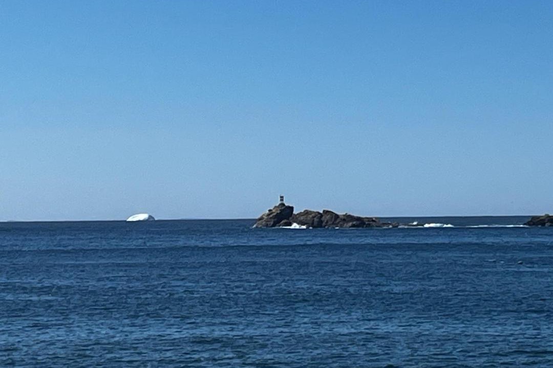 Photo of Others in Bonavista