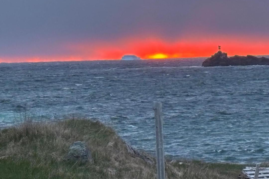 Photo of Others in Bonavista