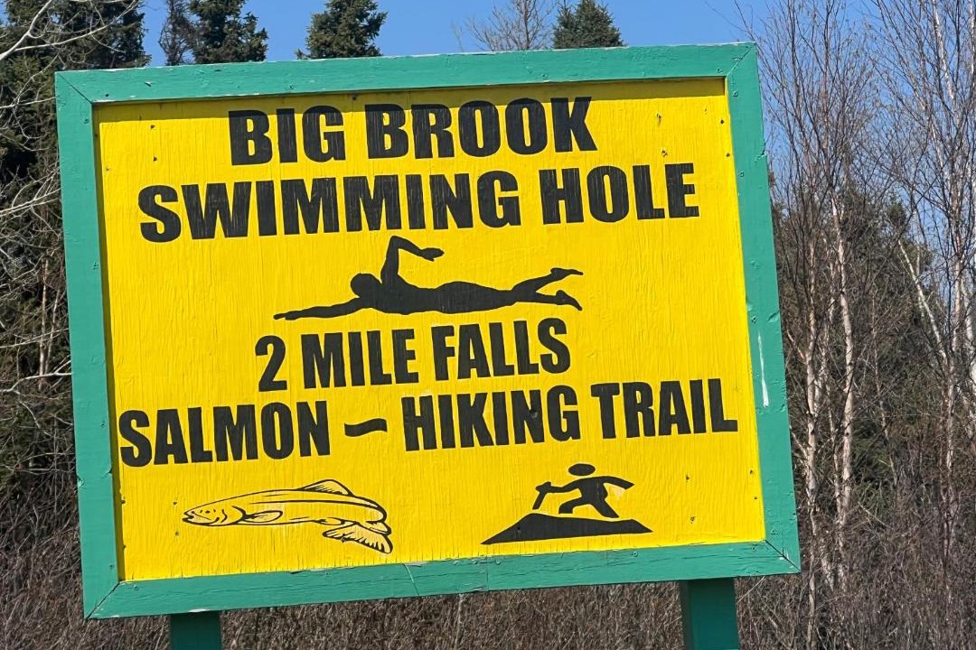 Photo of Others in Terra Nova