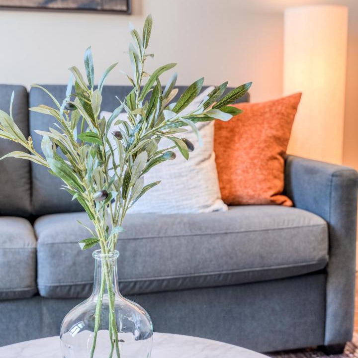 Photo of Livingroom in Latin Quarter