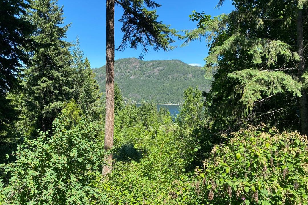 Photo of Others in Blind Bay