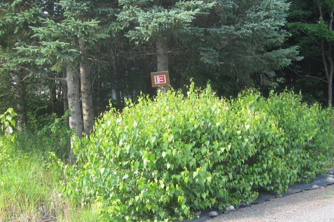 Photo of Outdoor in Saint-Louis-de-Blandford