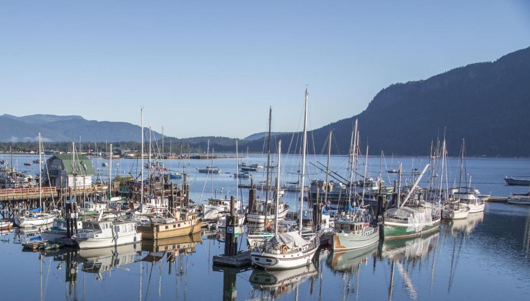 Photo of Others in Cowichan Bay