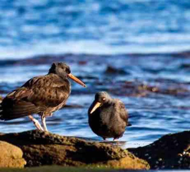 Photo of Others in Regional District of Nanaimo