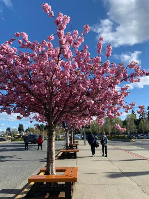 Photo of Outdoor in Regional District of Nanaimo
