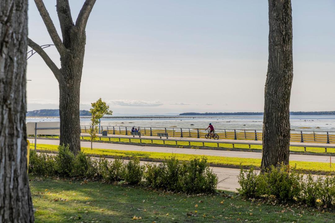 Photo of Others in Rimouski-Neigette
