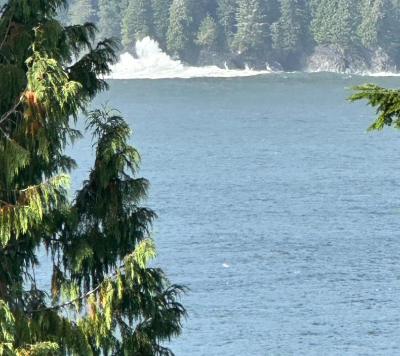 Photo of Others in Port Renfrew