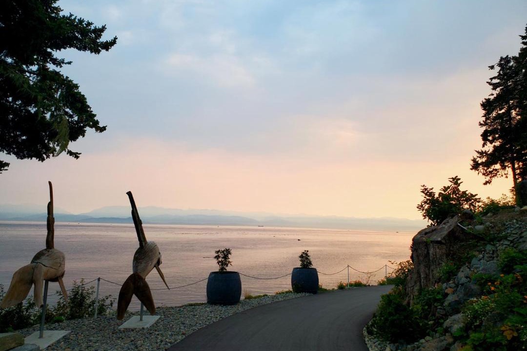 Photo of Others in Sooke