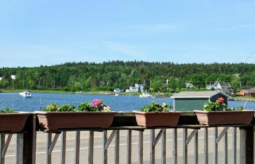 Photo of Others in Little Bras d'Or