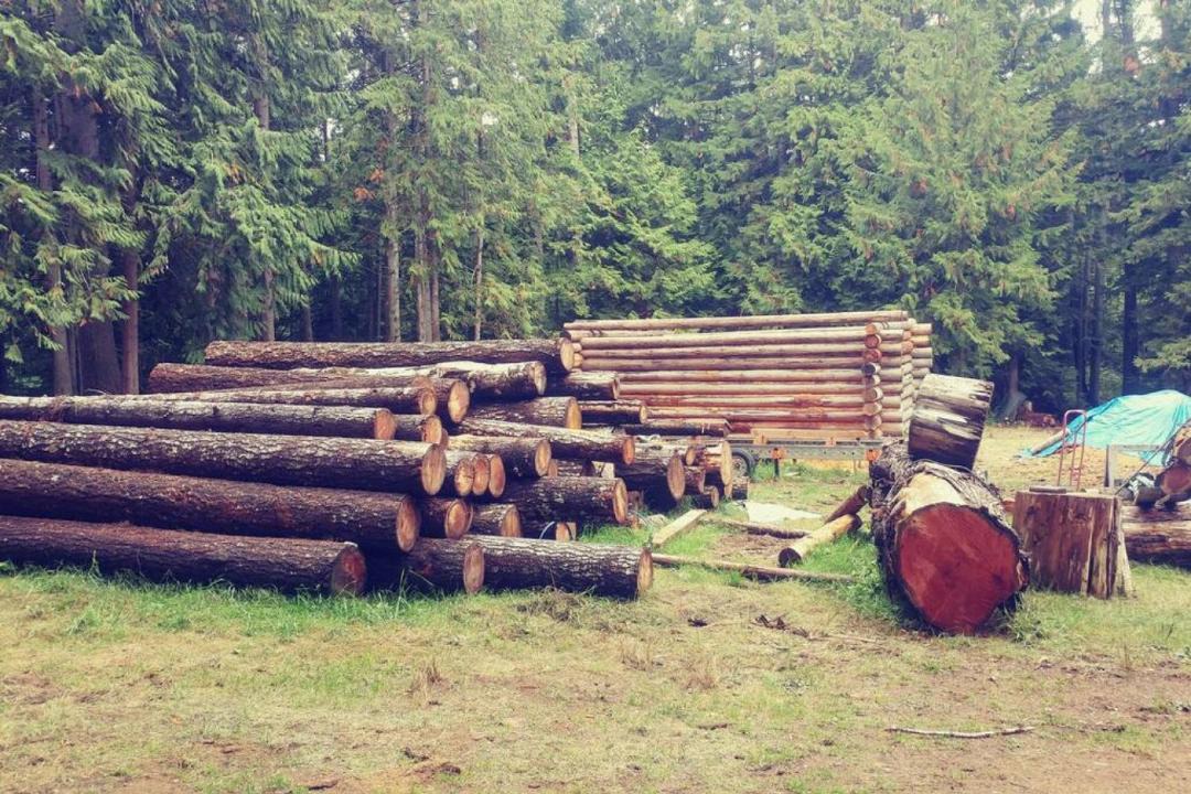 Photo of Others in Regional District of Nanaimo