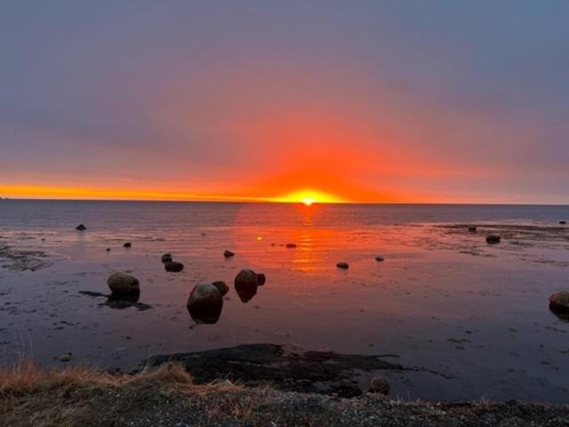 Photo of Others in Rocky Harbour
