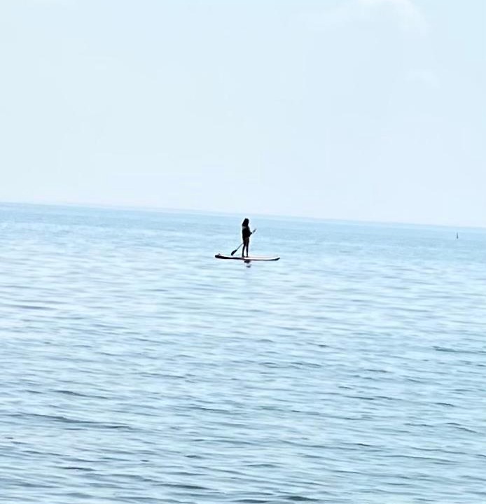 Photo of Human In Picture in Ramara