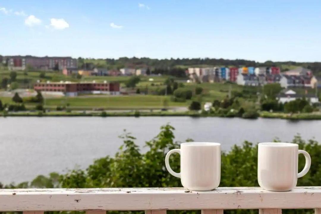 Photo of Others in Quidi Vidi