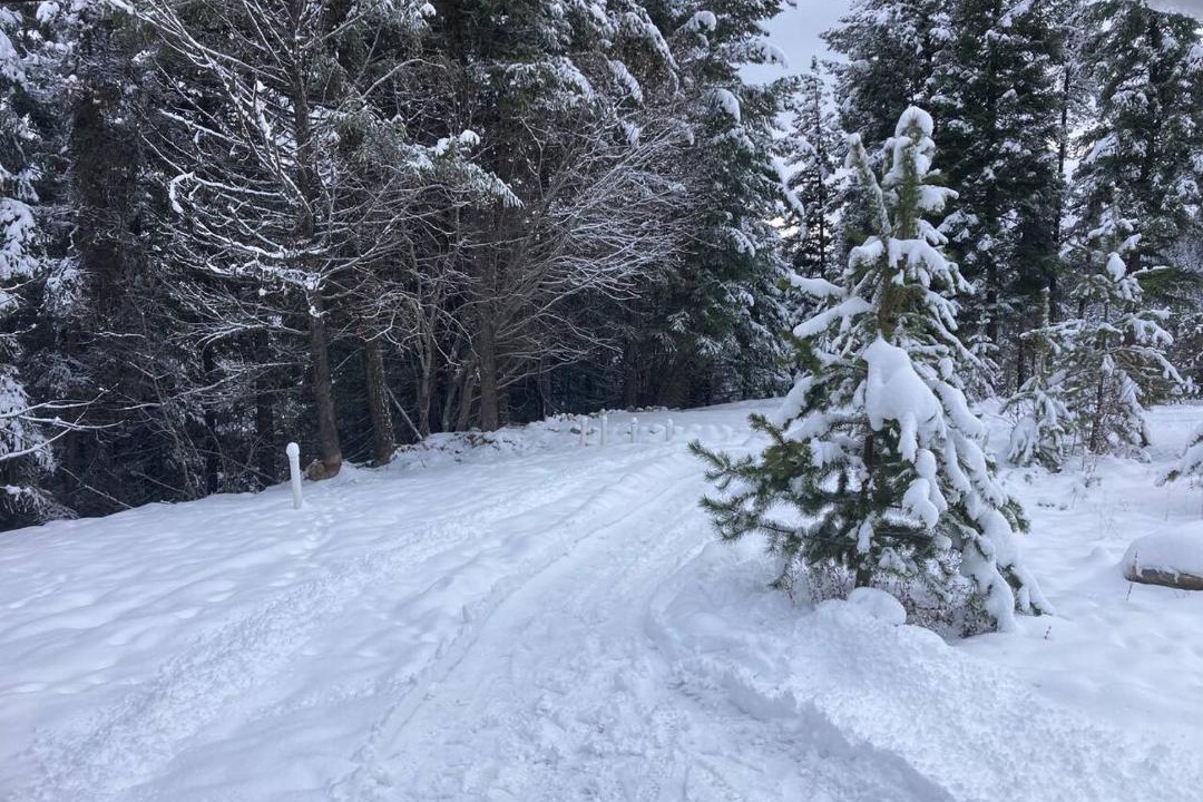 Photo of Others in Central Okanagan