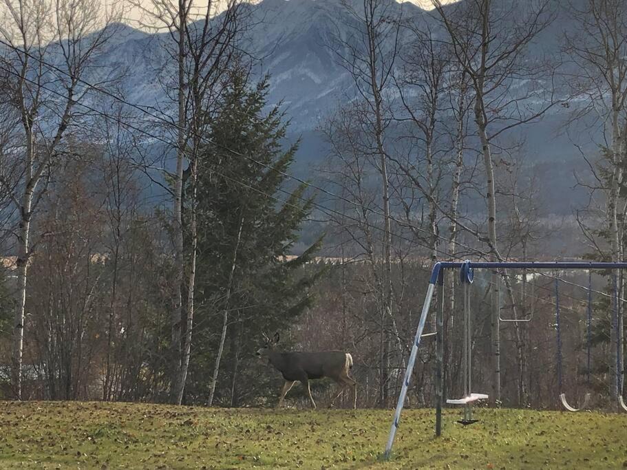 Photo of Others in Golden