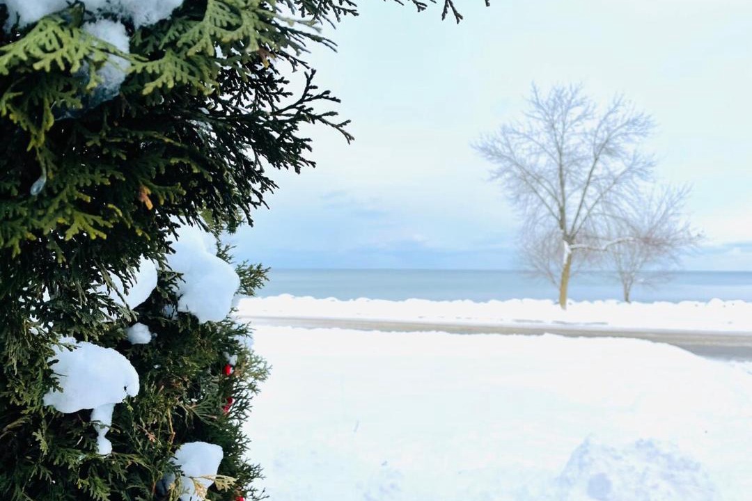 Photo of Others in Meaford