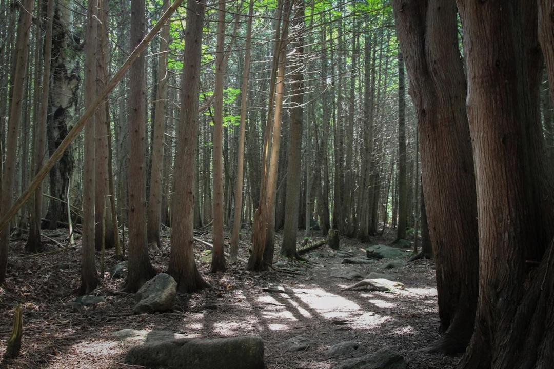 Photo of Others in Meaford