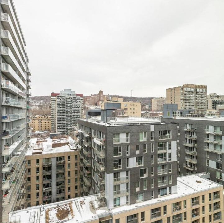 Photo of Others in Downtown Montreal