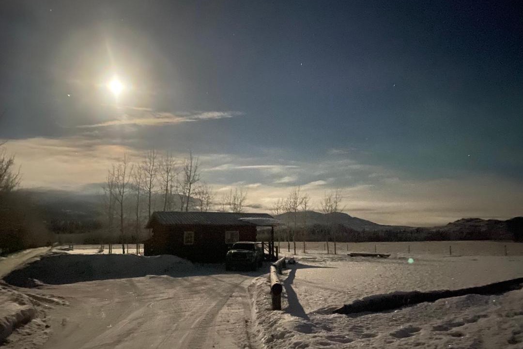 Photo of Others in Whitehorse