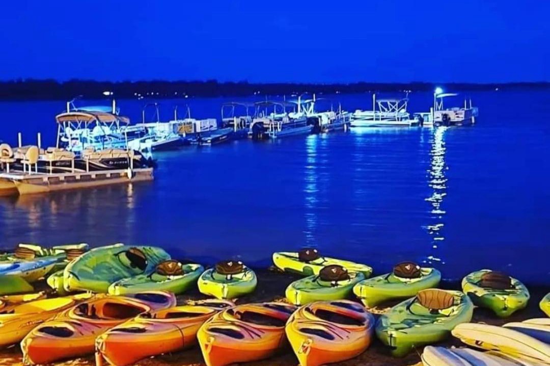 Photo of Others in Picton