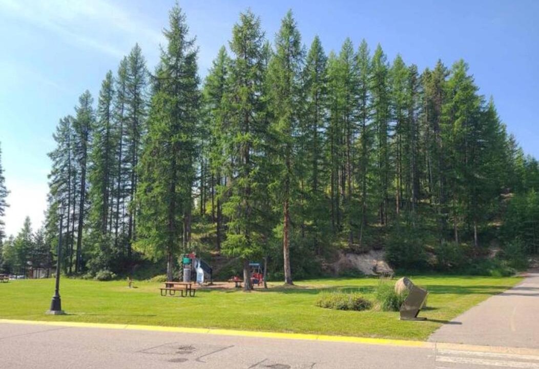 Photo of Others in East Kootenay