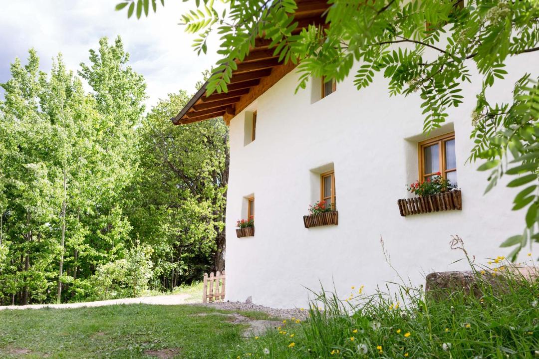 Photo of Others in Avelengo