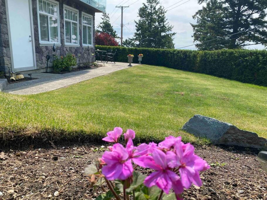 Photo of Others in White Rock