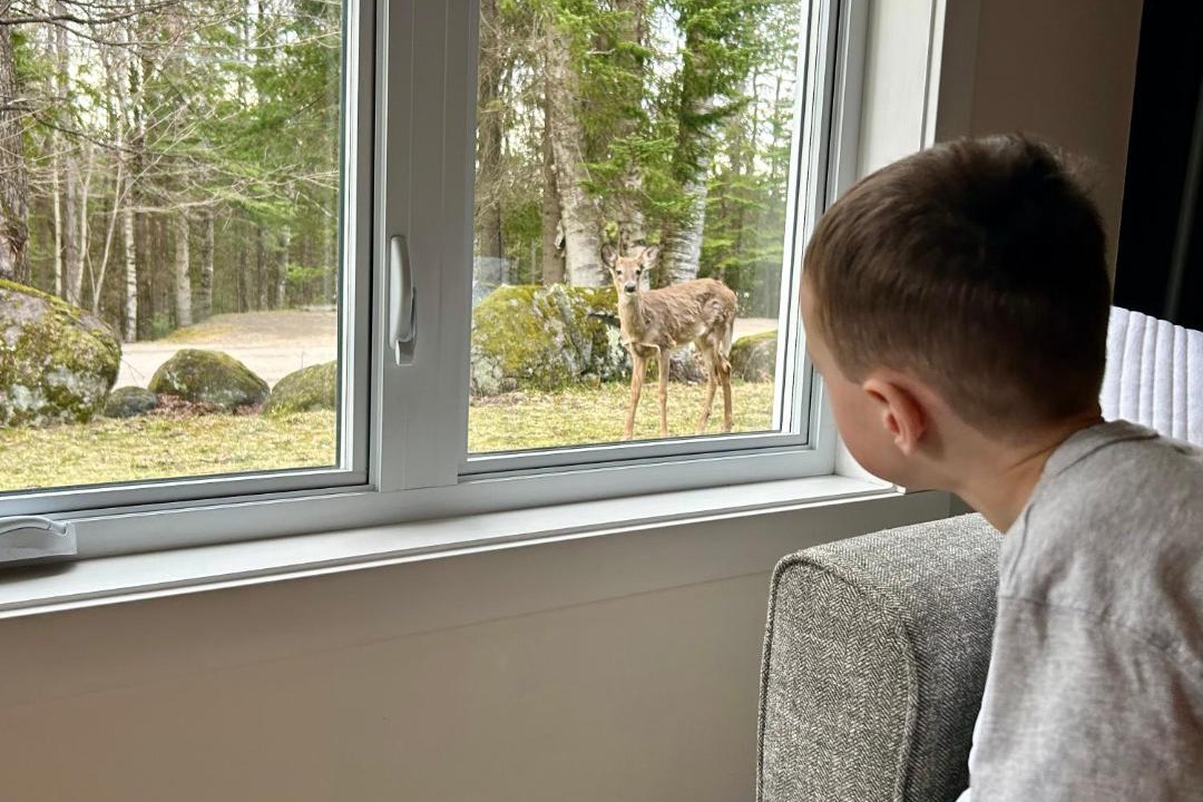 Photo of Others in Mont-Tremblant