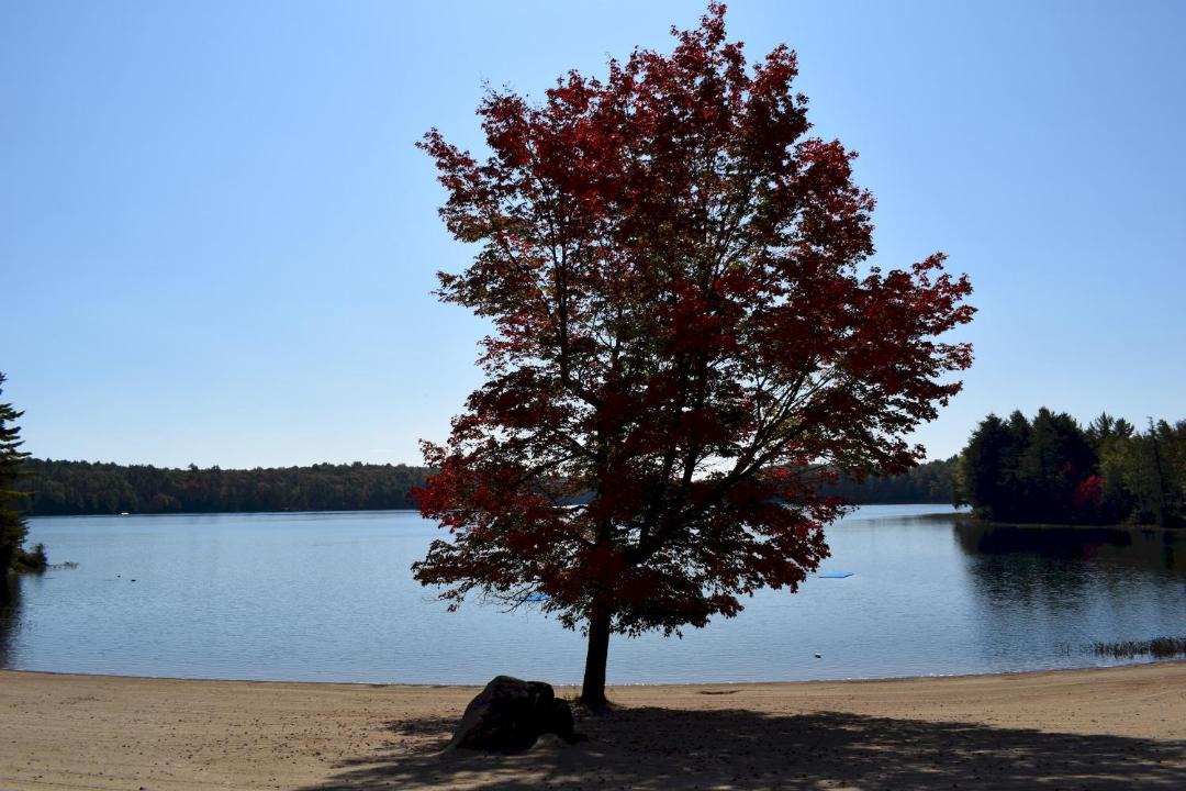 Photo of Others in Bracebridge
