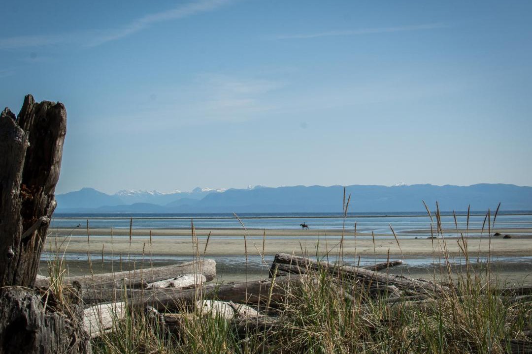 Photo of Others in Comox
