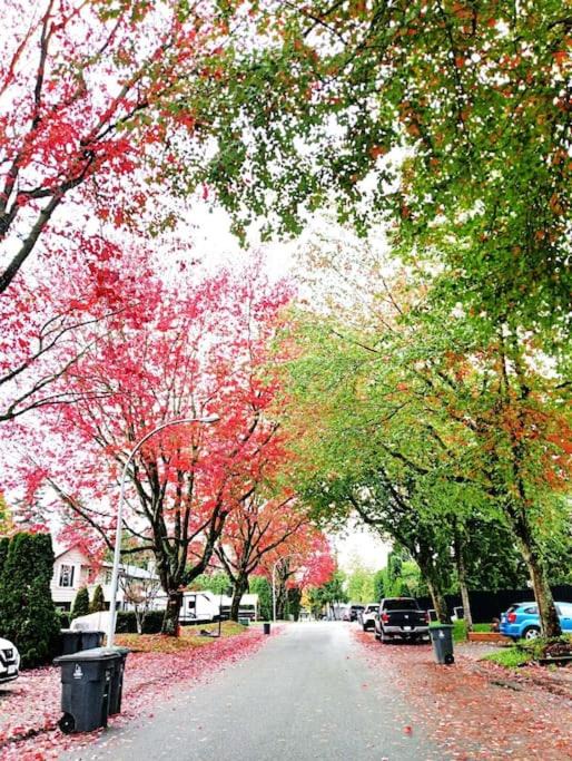 Photo of Others in Cloverdale