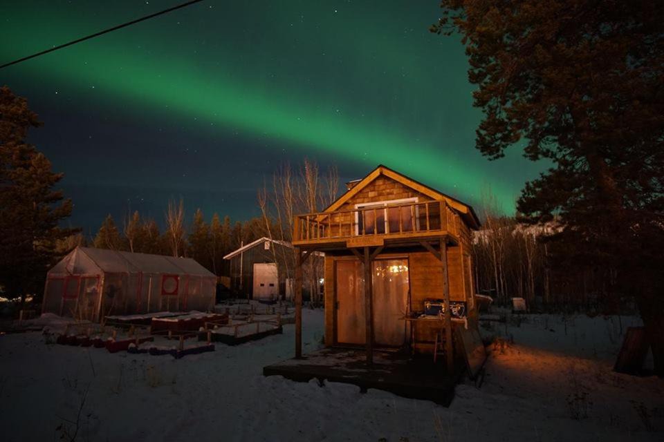 Photo of Others in Whitehorse