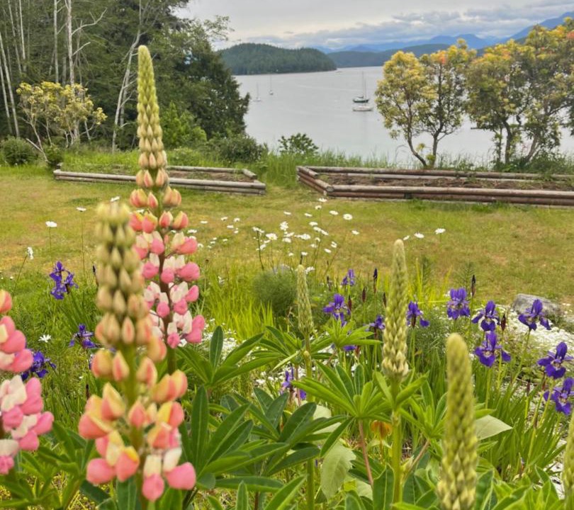Photo of Others in Powell River