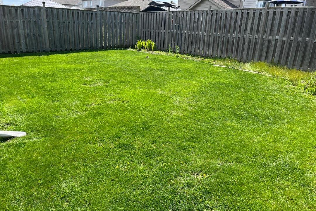 Photo of Others in Amherstview