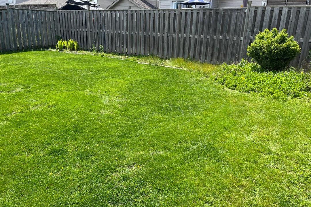 Photo of Outdoor in Amherstview