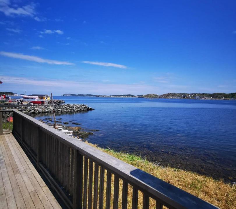 Photo of Others in Twillingate