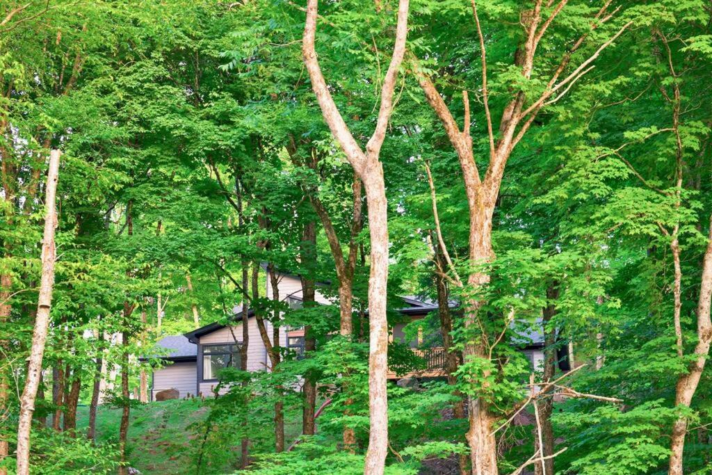 Photo of Others in Lake of Bays