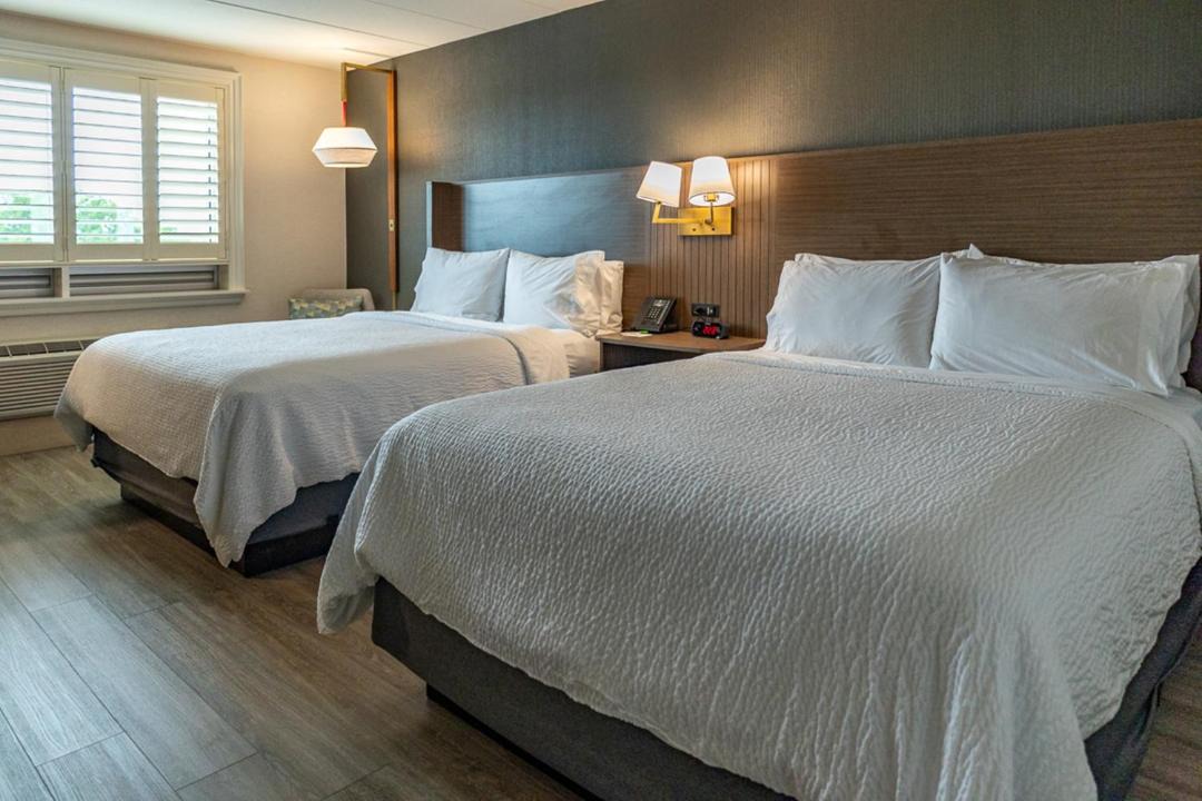 Photo of Bedroom in York - Haig