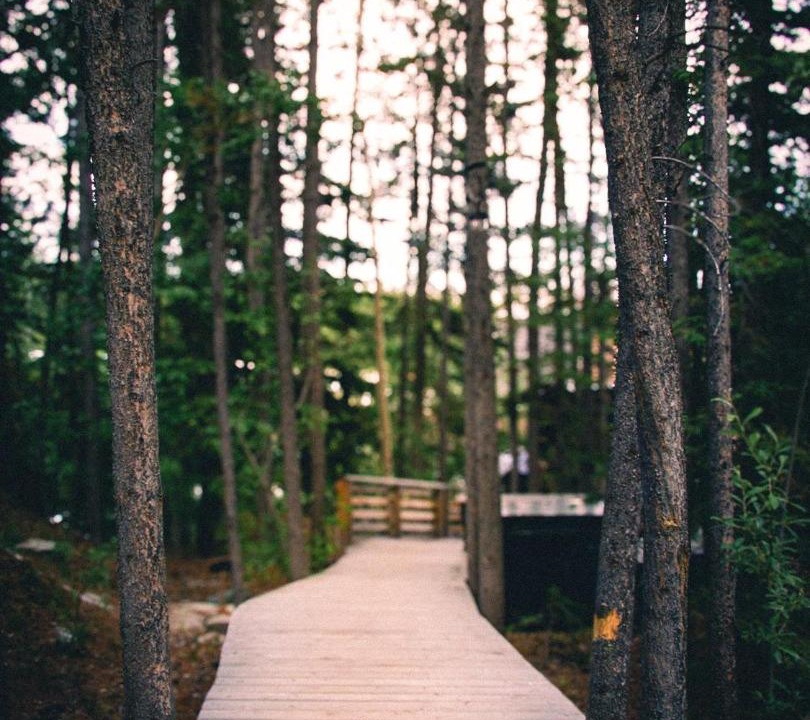 Photo of Others in Whitehorse