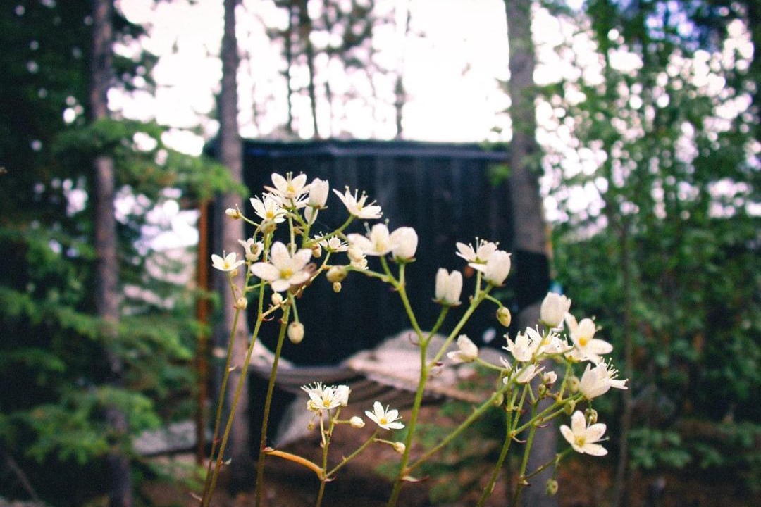 Photo of Others in Whitehorse