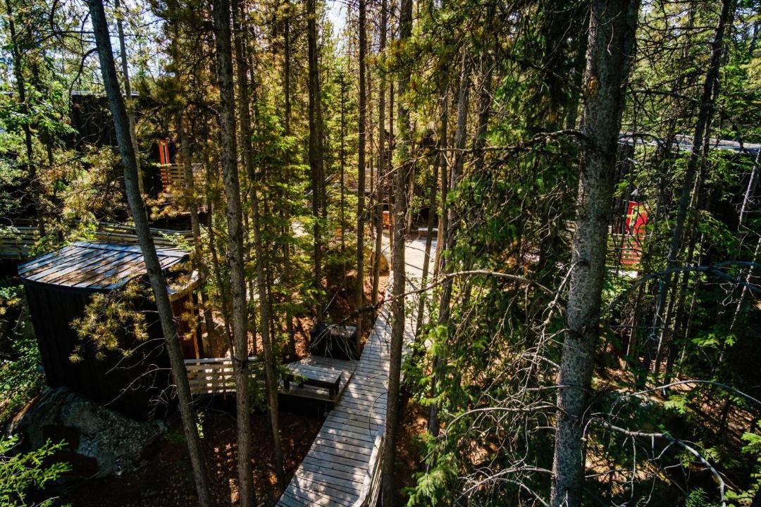 Photo of Others in Whitehorse