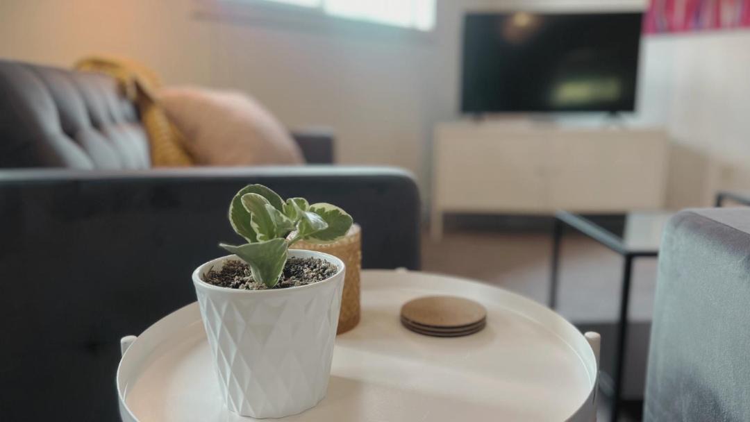 Photo of Livingroom in Clearwater