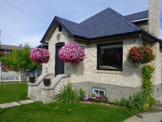 Photo of Buildings in Jasper