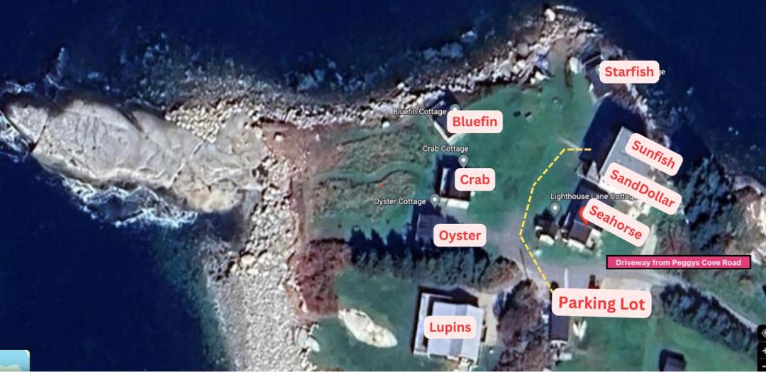 Photo of Others in Indian Harbour
