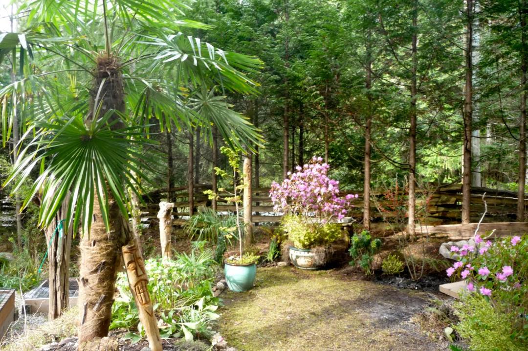 Photo of Others in Salt Spring Island